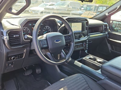 2023 Ford F-150 STX