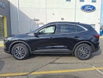 2024 Ford Escape PHEV